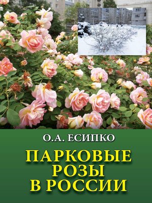 cover image of Парковые розы в России